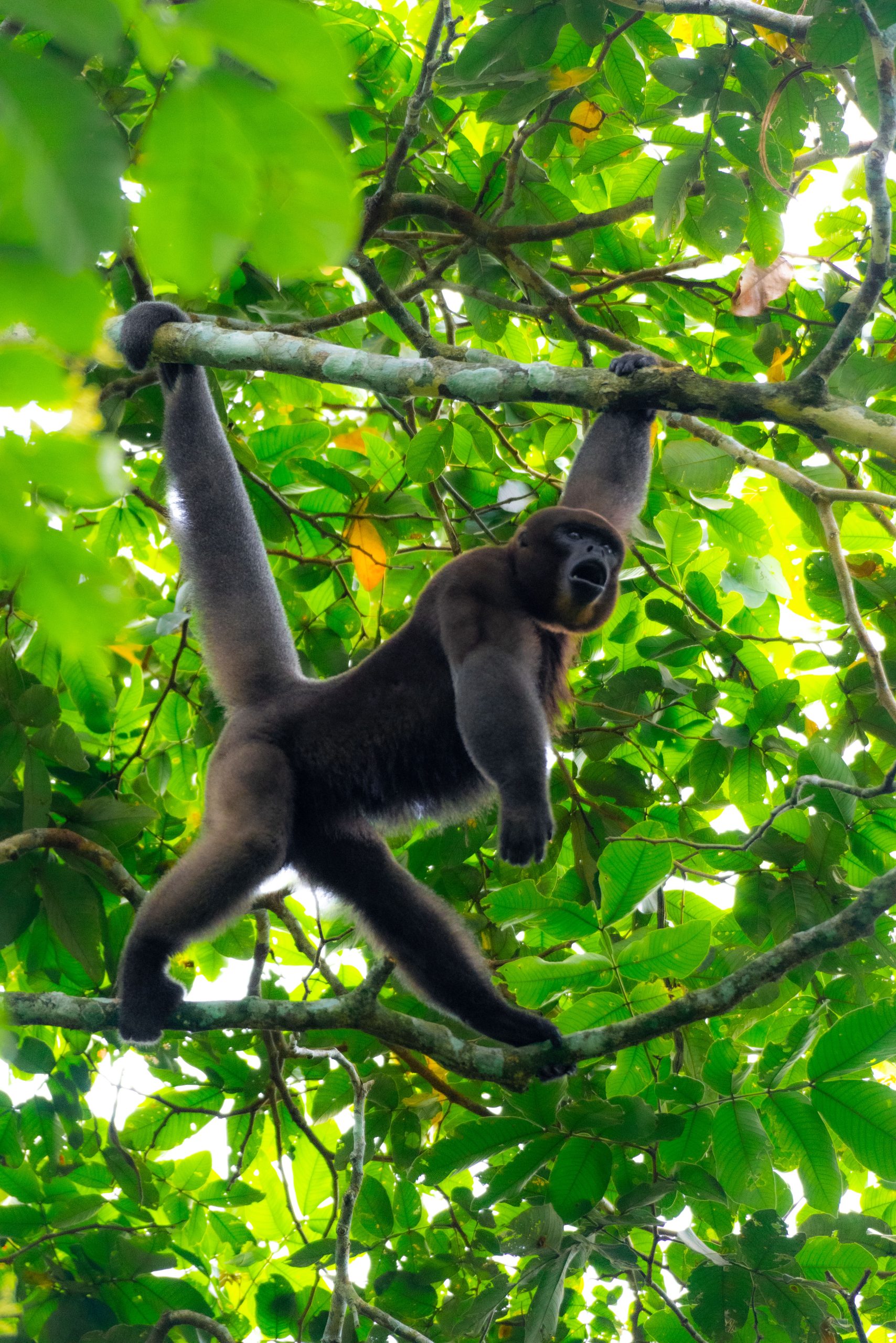 Fauna y paisaje de la Laguna de Nare