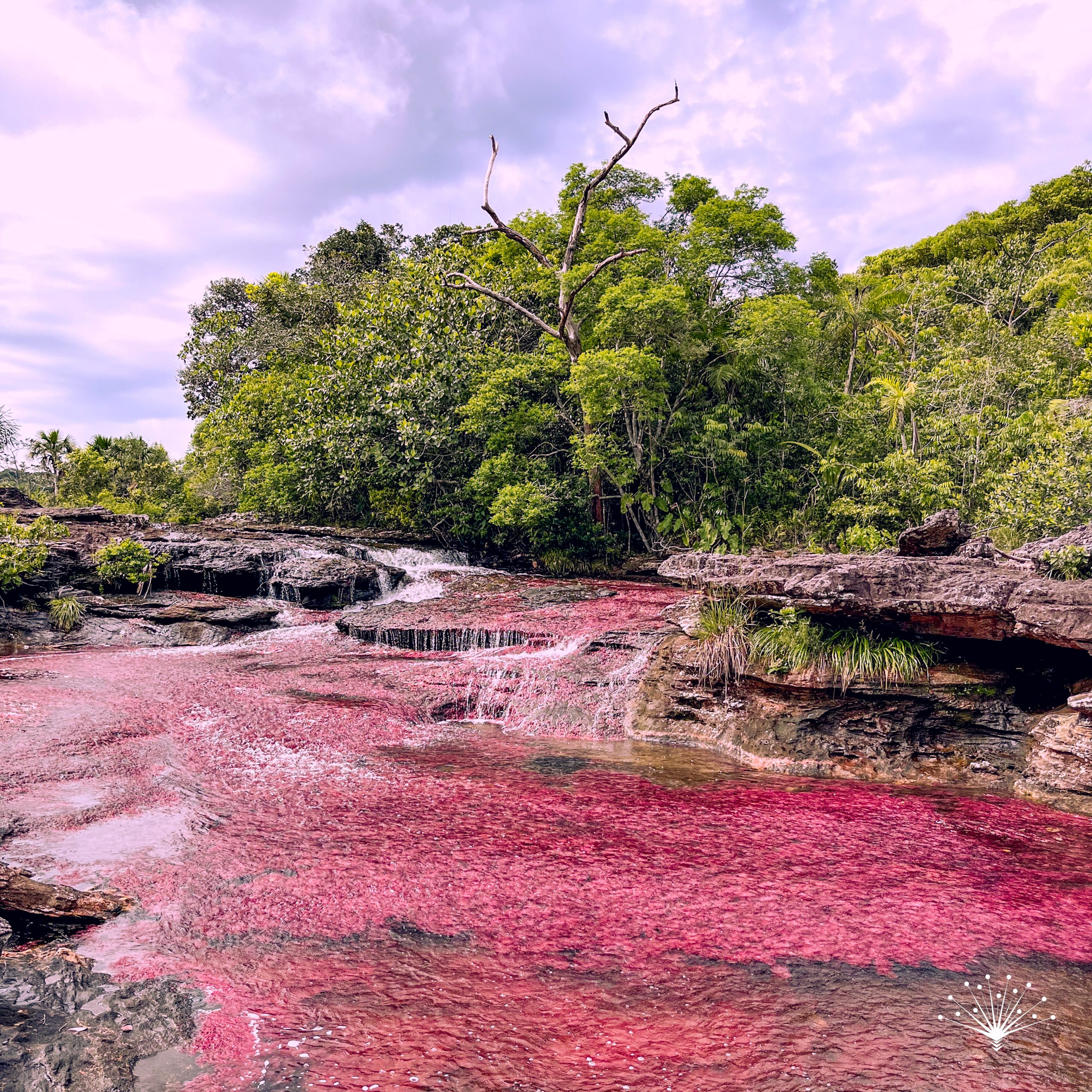 Río de Colores del Guaviare