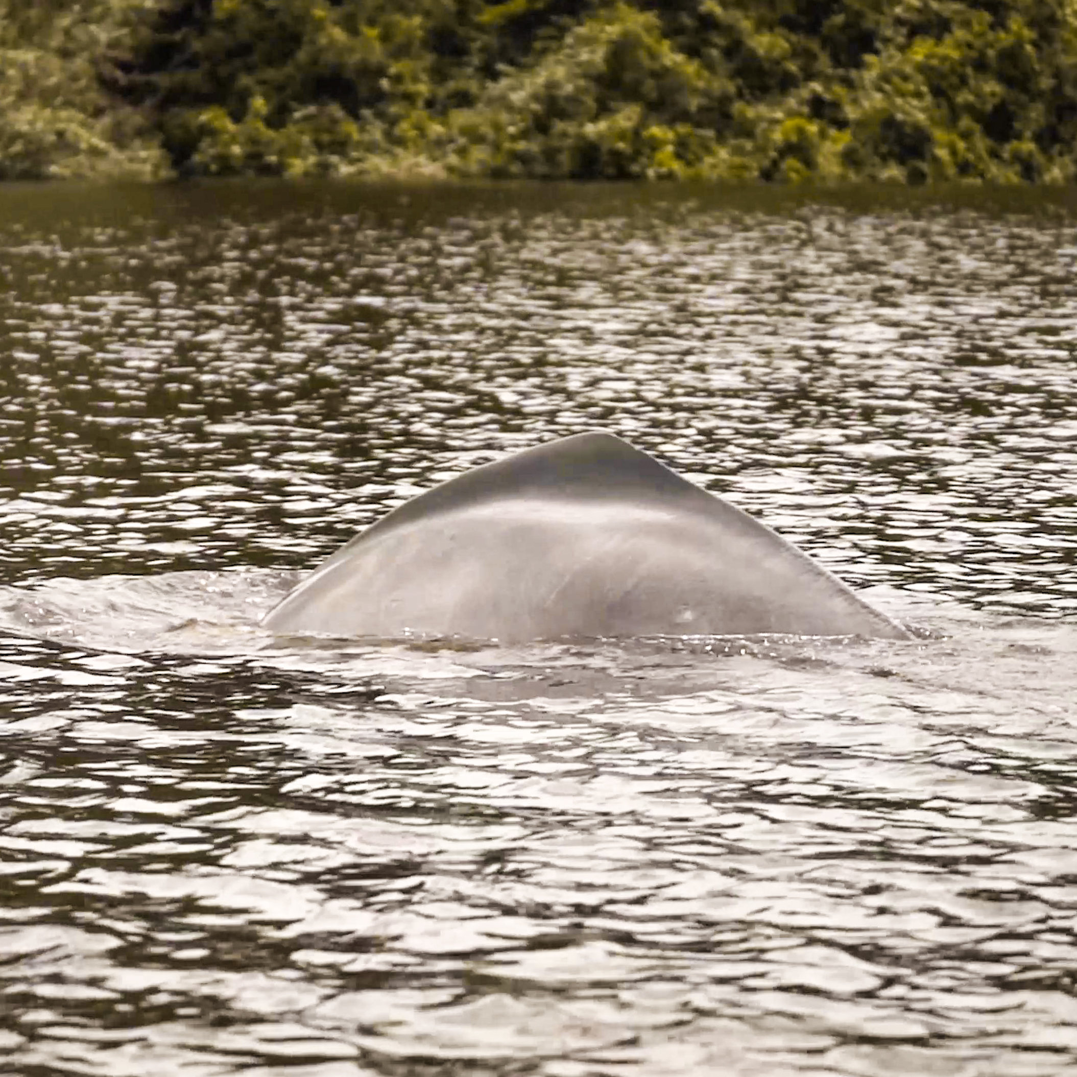 Entorno natural de la Laguna de Nare