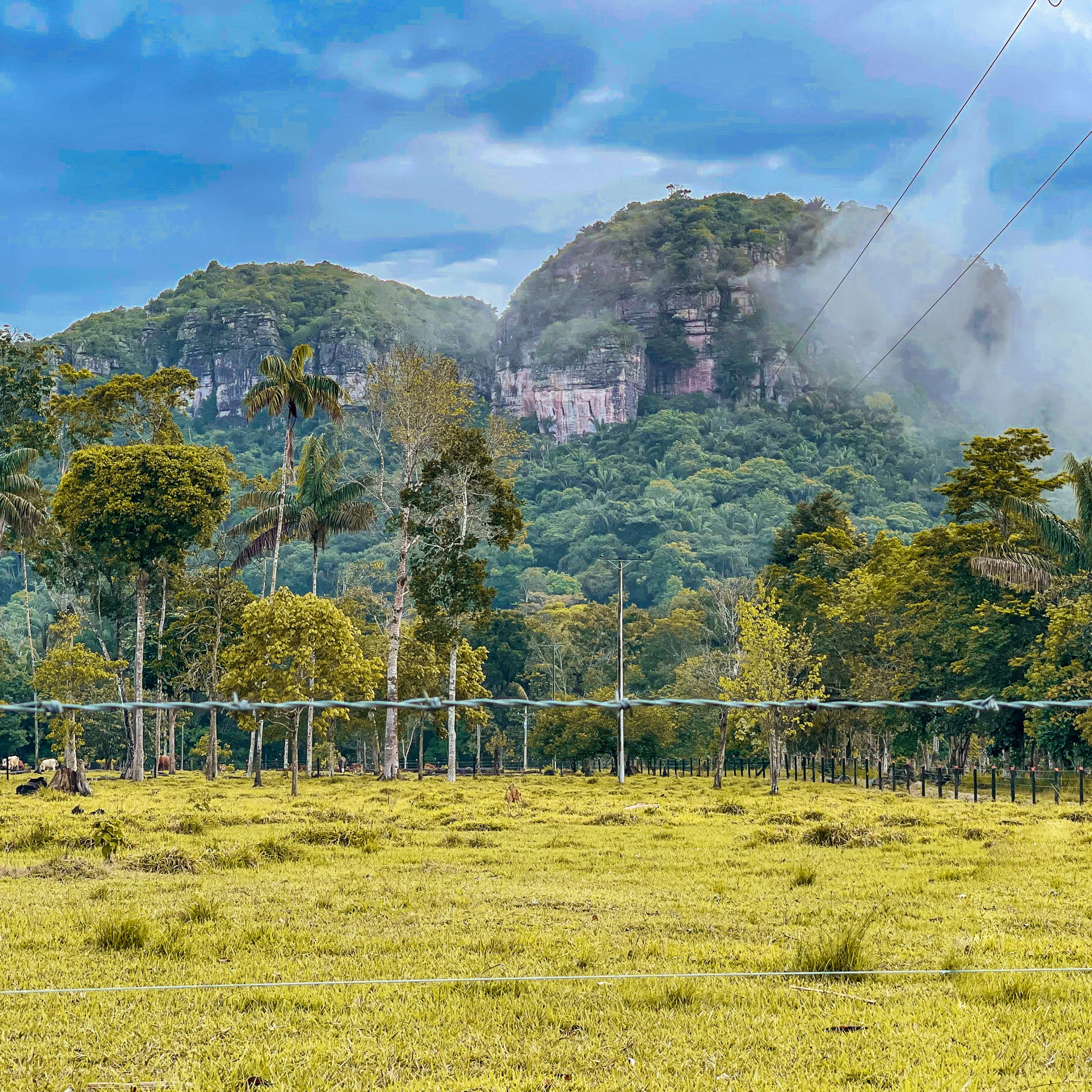 Paisaje y arte rupestre de Nuevo Tolima