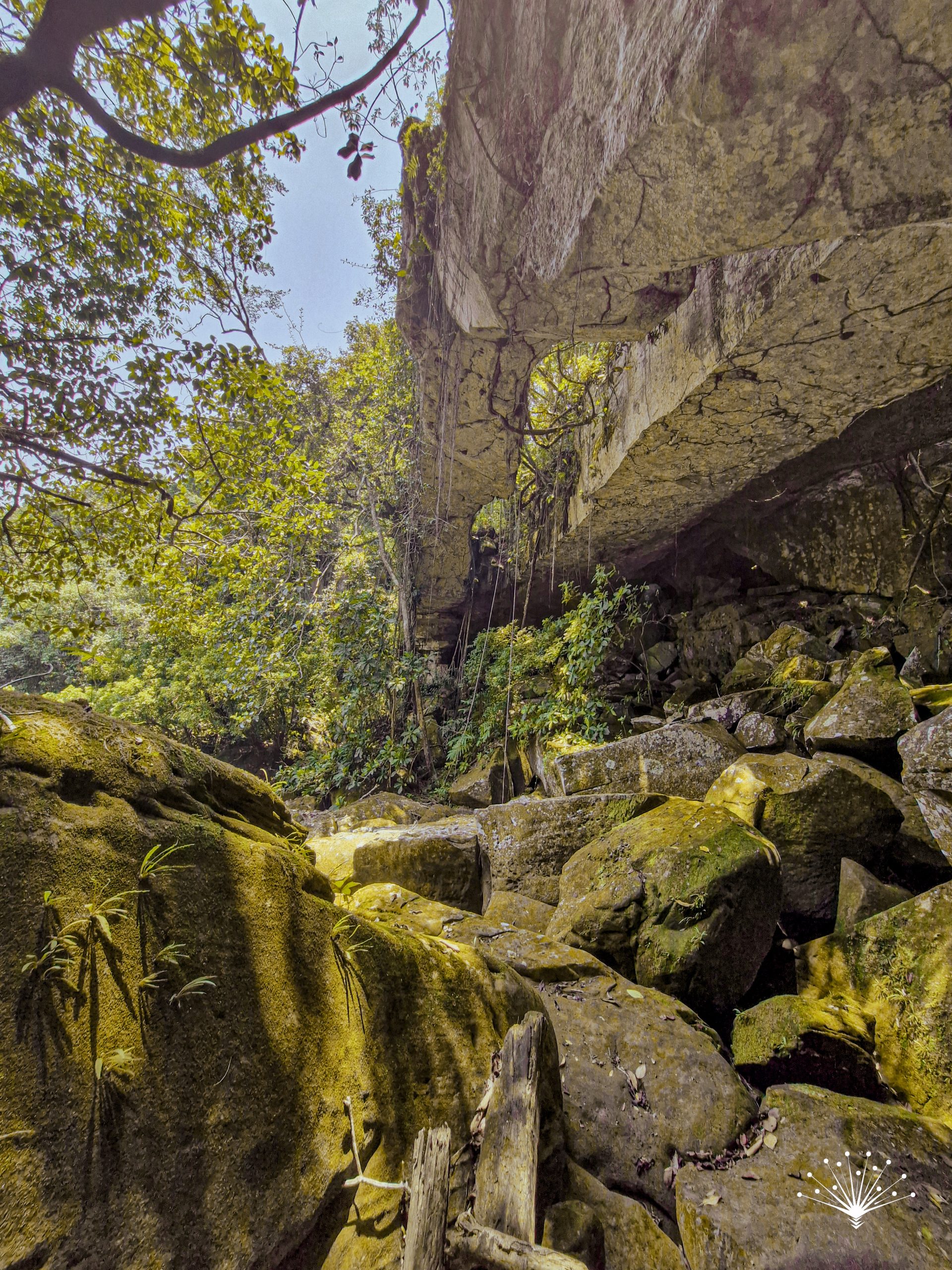 Puentes Naturales del Guaviare